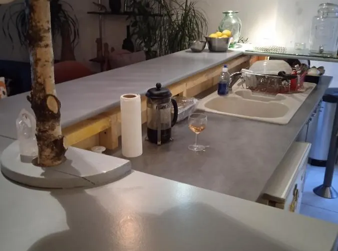 Tour Médiévale De L'an Mille Appartement Loudes