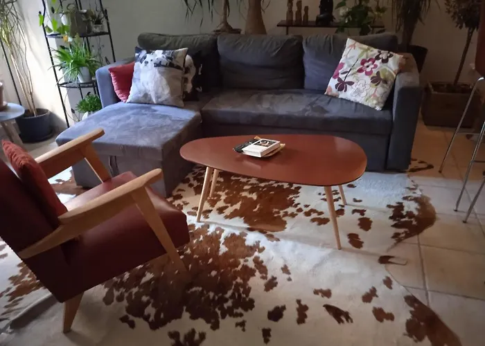 Tour Médiévale De L'an Mille Appartement